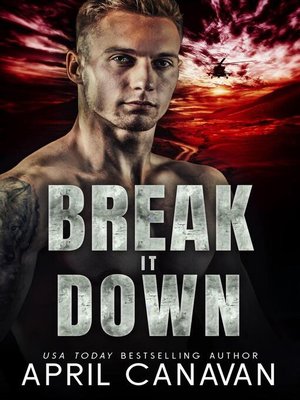 cover image of Break it Down